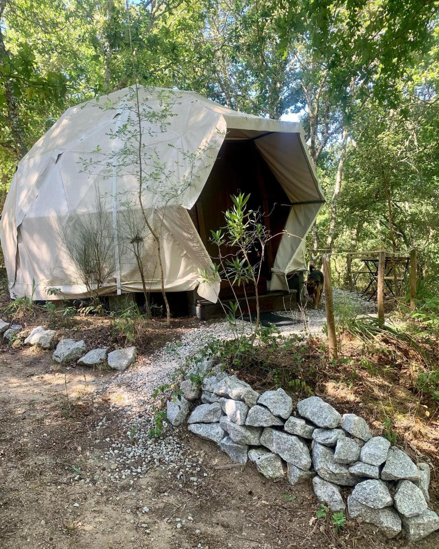 Вилла Quinta Da Lontra Табуа Экстерьер фото