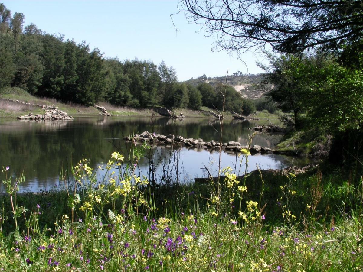 Вилла Quinta Da Lontra Табуа Экстерьер фото